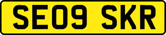 SE09SKR