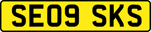 SE09SKS