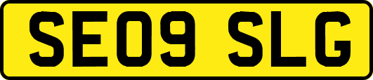 SE09SLG