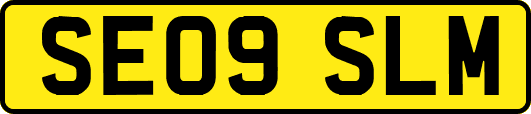 SE09SLM