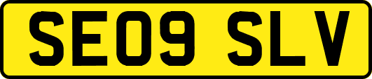 SE09SLV