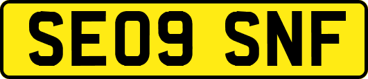 SE09SNF