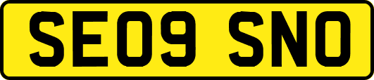 SE09SNO
