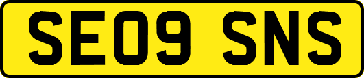 SE09SNS