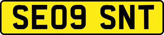 SE09SNT