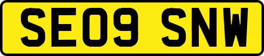 SE09SNW