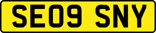 SE09SNY