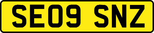SE09SNZ