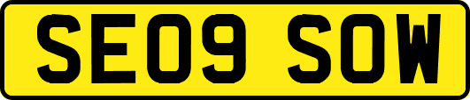 SE09SOW