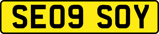 SE09SOY