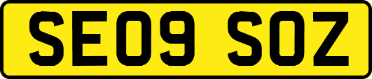 SE09SOZ