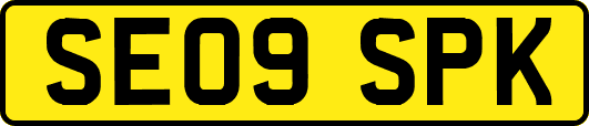 SE09SPK