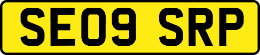 SE09SRP