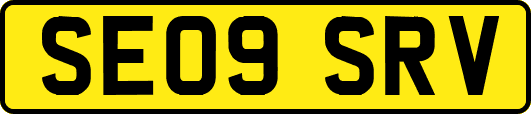 SE09SRV