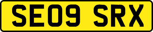 SE09SRX