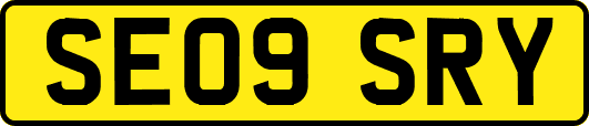 SE09SRY