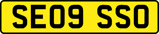 SE09SSO