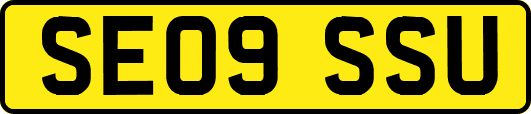 SE09SSU