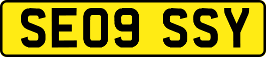 SE09SSY