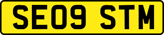SE09STM