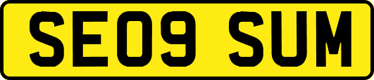 SE09SUM