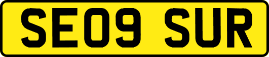 SE09SUR