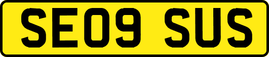 SE09SUS