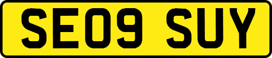 SE09SUY