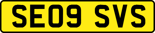 SE09SVS