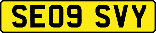 SE09SVY