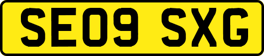 SE09SXG