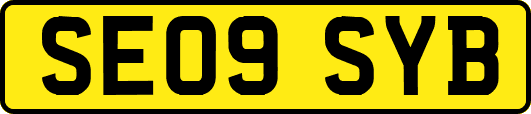 SE09SYB