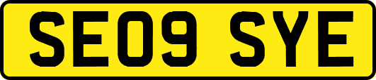 SE09SYE