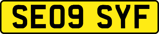 SE09SYF
