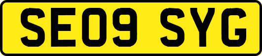 SE09SYG