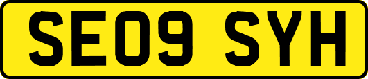 SE09SYH