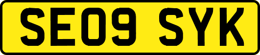 SE09SYK