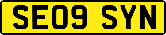 SE09SYN