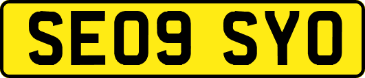 SE09SYO