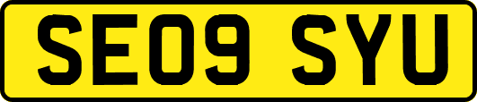 SE09SYU