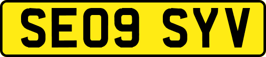 SE09SYV