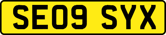 SE09SYX