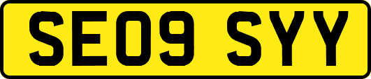 SE09SYY