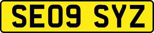 SE09SYZ