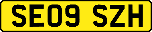 SE09SZH