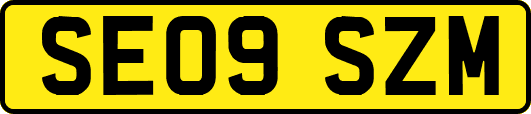 SE09SZM
