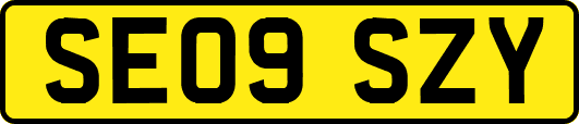 SE09SZY