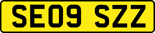 SE09SZZ