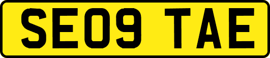 SE09TAE