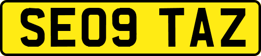 SE09TAZ